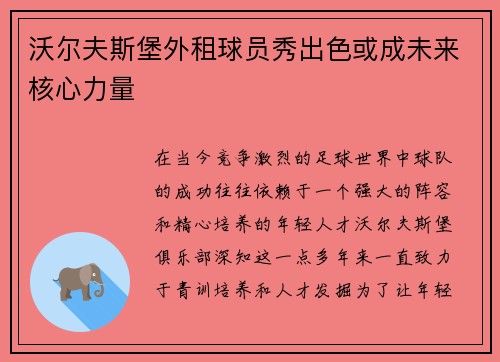 沃尔夫斯堡外租球员秀出色或成未来核心力量